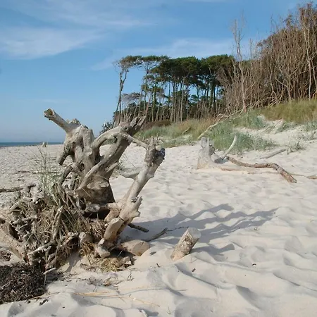 Hof Kranichweide, Holzblockhaus Casa de Férias