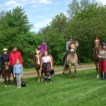 Casa de Férias Hof Kranichweide, Holzblockhaus Saal