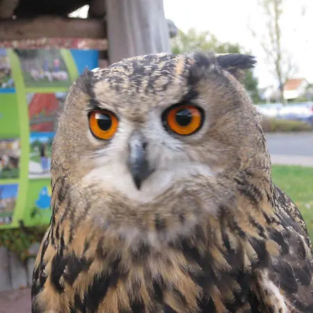 Semesterbostad Hof Kranichweide, Holzblockhaus Saal
