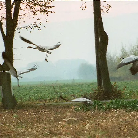 Hof Kranichweide, Holzblockhaus *