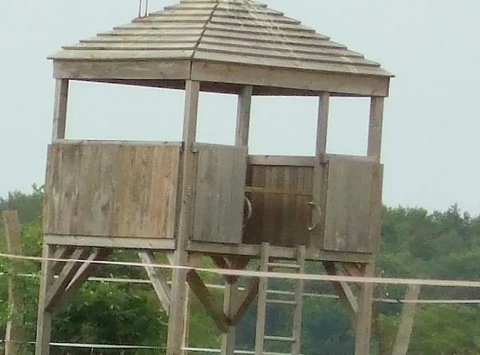 Ferienhaus Hof Kranichweide, Holzblockhaus Saal